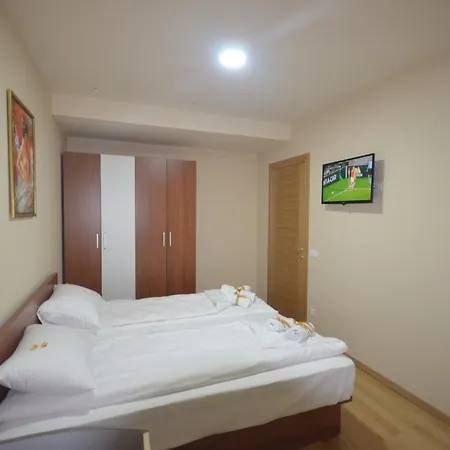 Tanasic Apartment *
