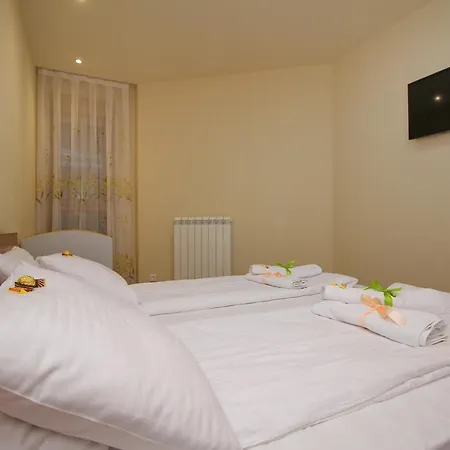 Tanasic Apartment *