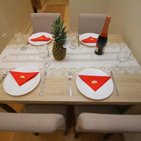 Tanasic Apartment