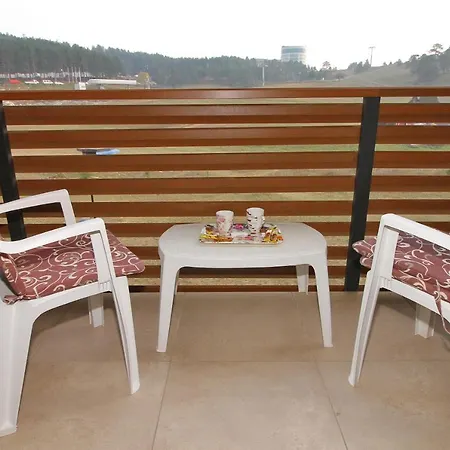 Tanasic Apartment *